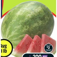 Seedless Watermelon