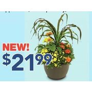 13" Autumn Planter - $21.99