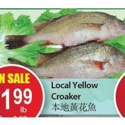 Local Yellow Croaker - $1.99/lb
