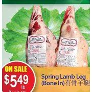 Spring Lamp Leg - $5.49/lb