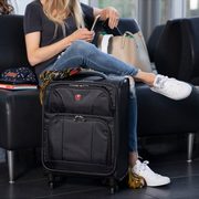 Best Buy Get Out and Play Sale: Broilchef Portable BBQ $198, Harmony Booster Seat $140, SWISSGEAR 20" Carry-On Luggage $70 + More