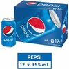 Pepsi Soft Drinks - $5.49