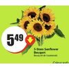 5-Stem Sunflower Bouquet - $5.49