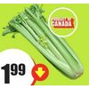 Celery  - $1.99