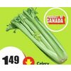 Celery - $1.49