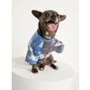 Crew-Neck Sweatshirt For Pets - $18.74 ($6.25 Off)