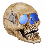10" Light Skull/Spiderweb Projection - $59.99 (Up to 50% off)