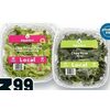 Aquaverti Lettuce - $3.99