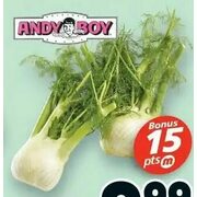Andy Boy Anise (Fenel) - $2.99
