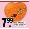 Reese Miniatures Peanut Butter Cups - $7.99