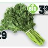 Green Curly Kale - $2.29