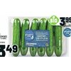 Mini Cucumbers - $3.49